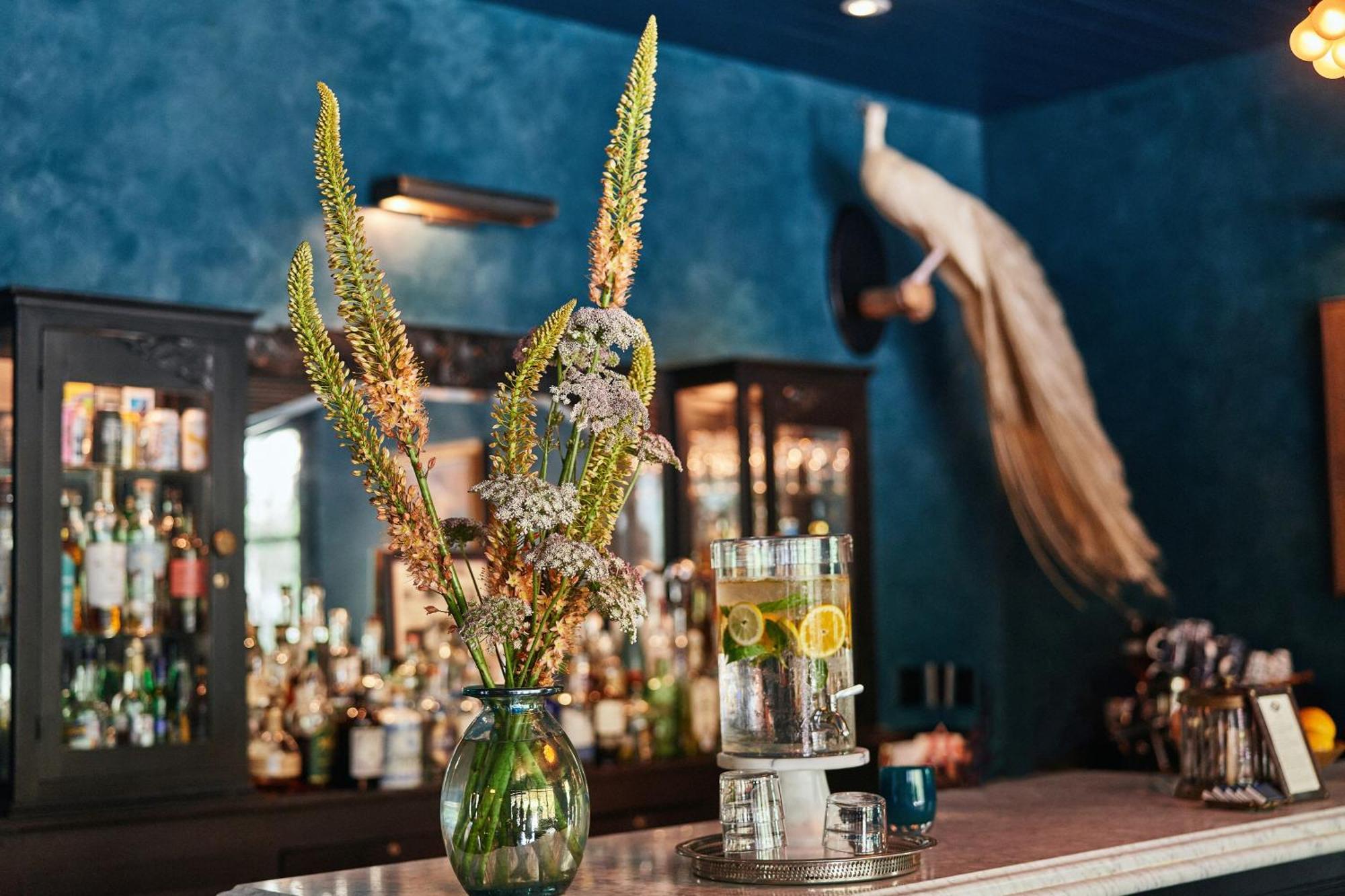 Hotel Saint Cecilia Austin Ngoại thất bức ảnh